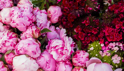 731283 (a): :2500x1425